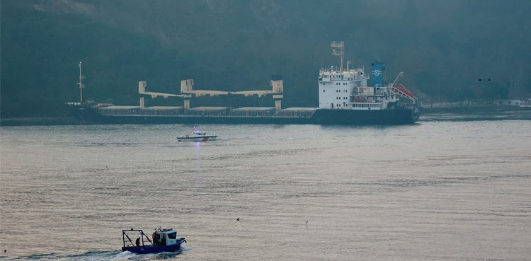 Cargo ship, Ukraine, Bosphorus strait