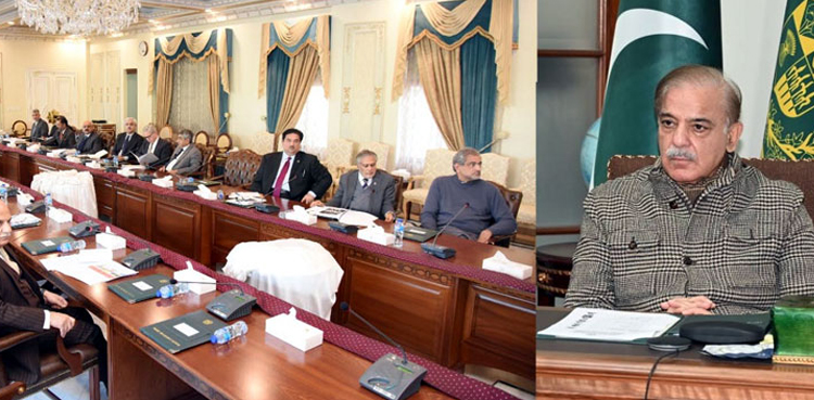 national energy conservation authority, NEECA, PM Shehbaz Sharif