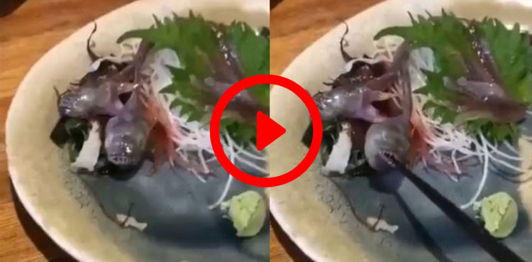 raw fish, fish, restaurant, viral video, video,