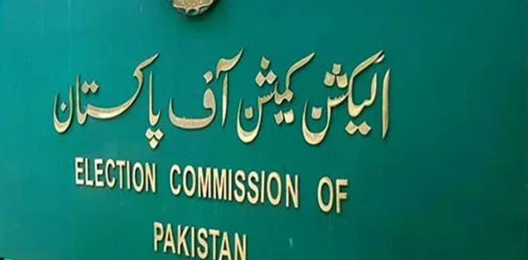 Prohibited Funding, ECP, summary, witnesses, cross-examination,