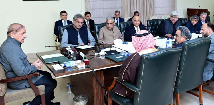 Shehbaz Sharif, investors, renewable energy sector