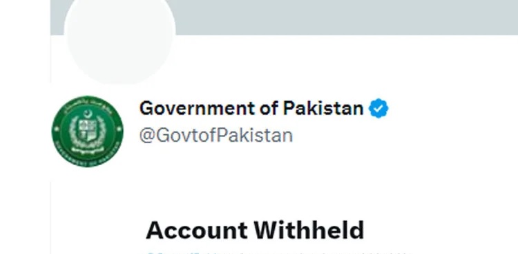Pakistani Govt Account