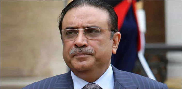 Asif Ali Zardari, Imran Khan