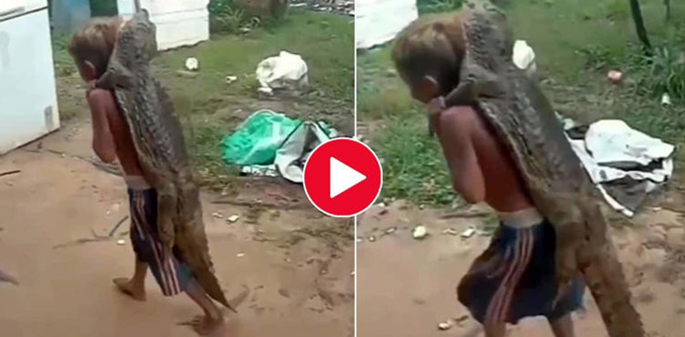 Viral video Boy carrying crocodile on his back