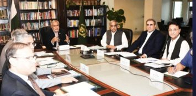 Finance Minister, Ishaq Dar, virtual meeting, President AIIB