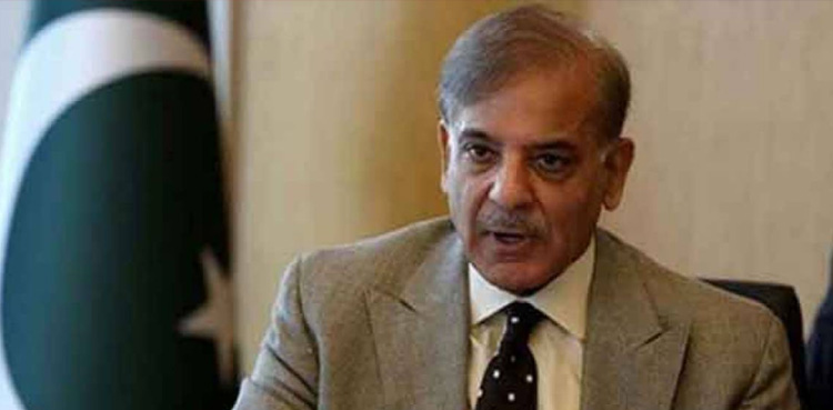 PM Shehbaz Sharif, PML-N consultative session,