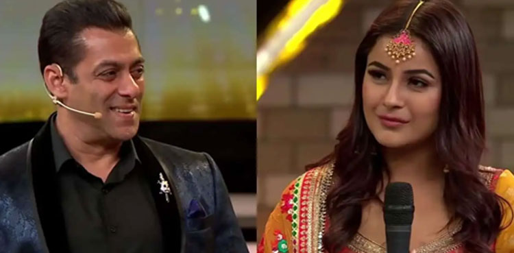 shehnaaz gill, salman khan, kisi ka bhai kisi ki jaan, bollywood,