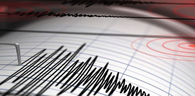 Magnitude 6.2 earthquake detected off N. Zealand's south coast