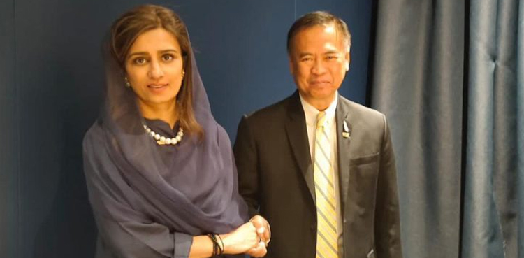 Hina Rabbani Khar, EU, Indo-Pacific, foreign ministers