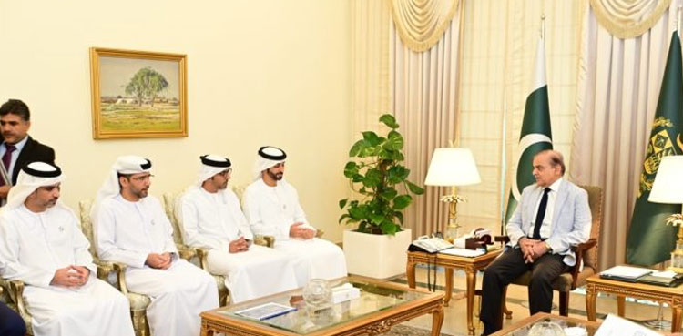 PM Shehbaz, UAE investors