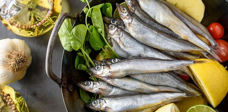 Fish eating Diet: The Health Benefits