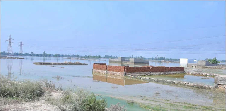 Sutlej River, medium flood, Ganda Singh Sulemanki headworks