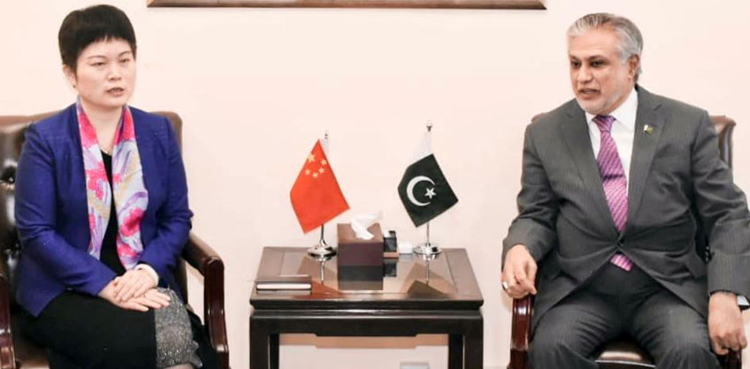 Charge’d Affairs of Chinese Embassy calls on Ishaq Dar