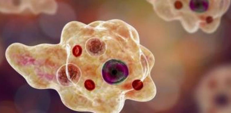 Sindh minister urges caution as Naegleria cases surge in Karachi