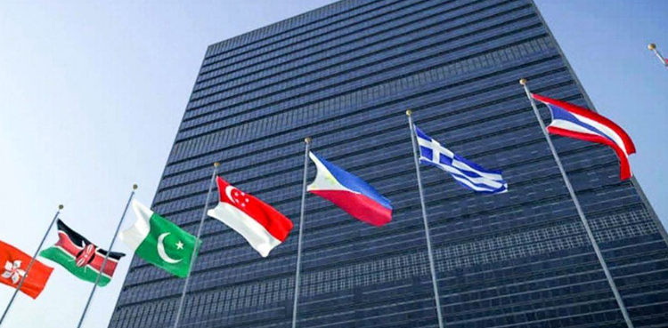 Pakistan elected as member of UN Economic & Social Council