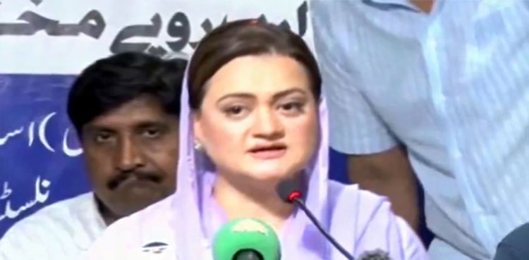 Marriyum Aurangzeb, free media, democracy