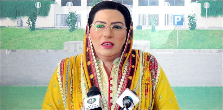 IPP PML-N, alliance, Firdous Ashiq Awan