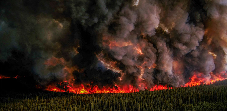 wildfire canada