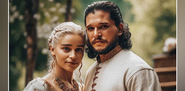 jon snow, daenerys targaryen, south indian, south indian wedding, game of thrones,