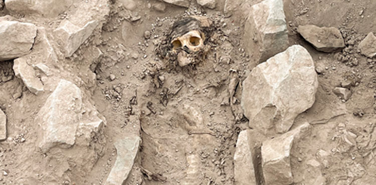 mummy found, discovered, mummy, 3000 year old mummy, peru,