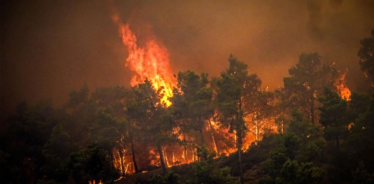 Greece, wildfires, strong winds