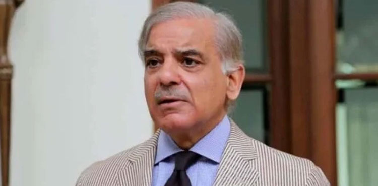 Govt to continue taking steps for film industry revival: PM Shehbaz