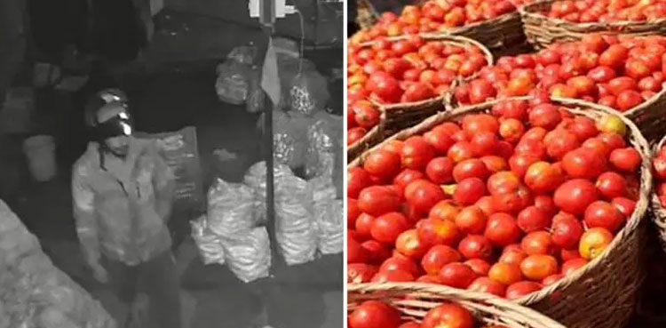 tomatoes theft, thief steals tomatoes, viral video