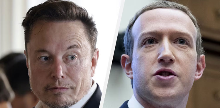 Musk says cage fight with Zuckerberg will be in Italy