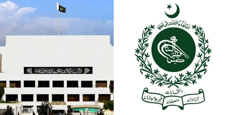 General elections, ECP, caretaker set-up