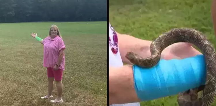 Woman hawk snake, hawk attack, snake attack, Texas