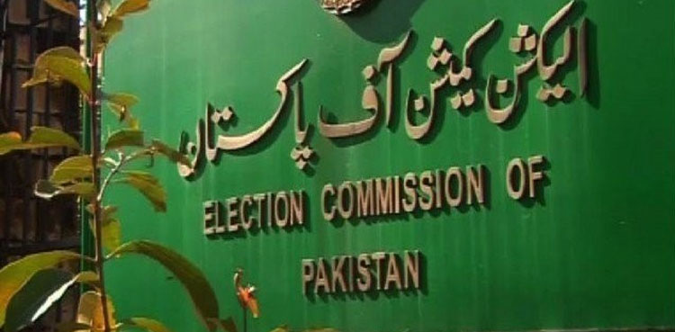 ECP, lawmakers. asset details, statement of assets, parliament members