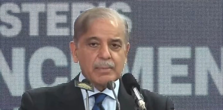 Shehbaz Sharif, Elections 2024, pml-n