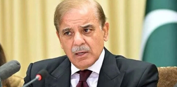 Budget 2024, PM Shehbaz Sharif, Sales tax, petroleum product tax,