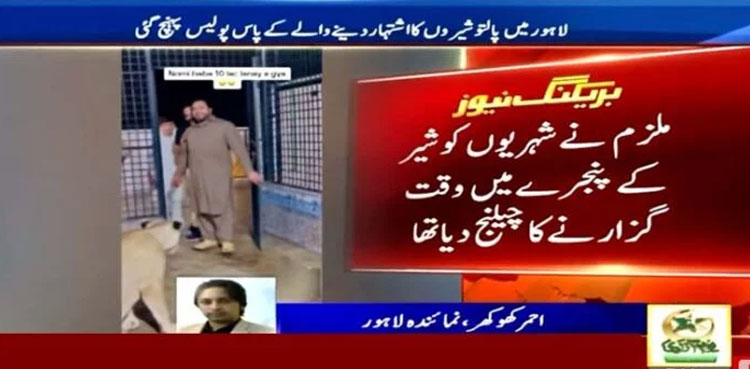 Lahore man arrested for challenging people to spend 10 min in lions’ cage