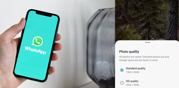 WhatsApp now lets you send HD photos