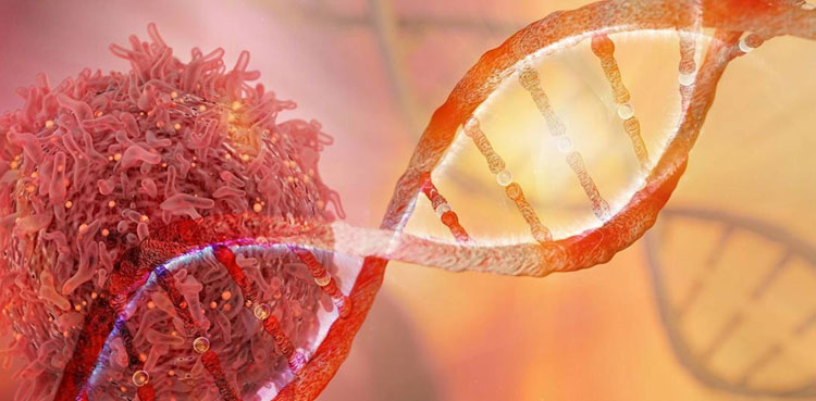 Tumor DNA bacteria