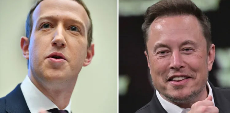 elon-musk-cage-fight-mark-Zuckerberg