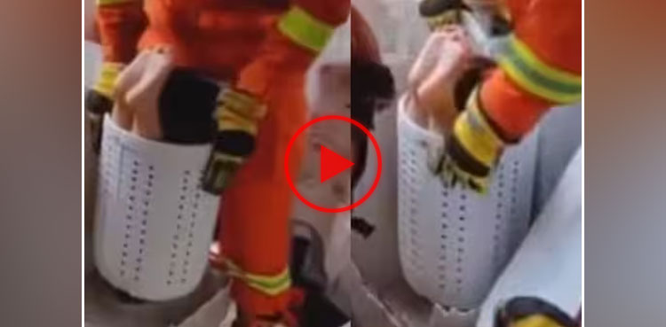 viral, video, viral video, firefighters video, rescue video