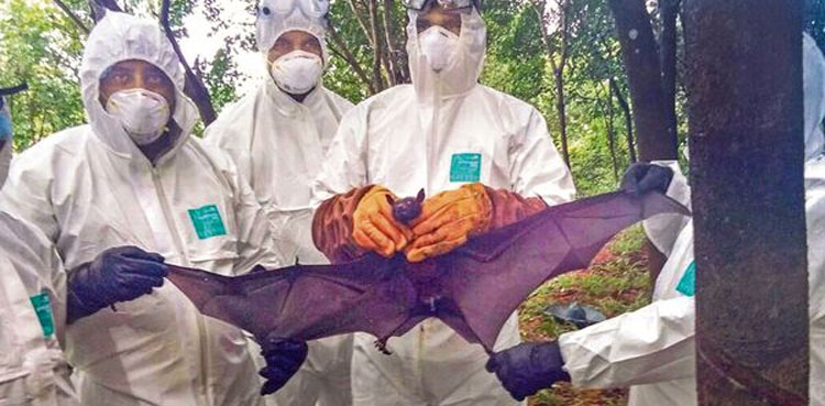 Nipah virus India Kerala