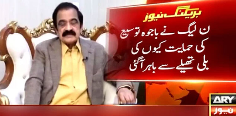 PML-N voted for Bajwa’s extension to 'oust Imran Khan': Rana Sanaullah