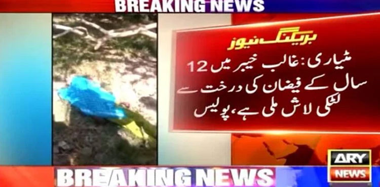 body on tree, Matiari, 12-year-old boy