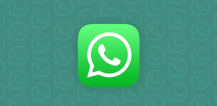 whatsapp video calls avatars