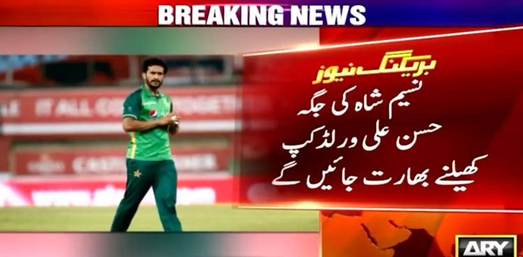 pakistan, cricket, icc cricket world cup 2023, world cup, world cup 2023, cricket world cup, cricket world cup 2023, pakistan squad, pakistan world cup 2023 squad,