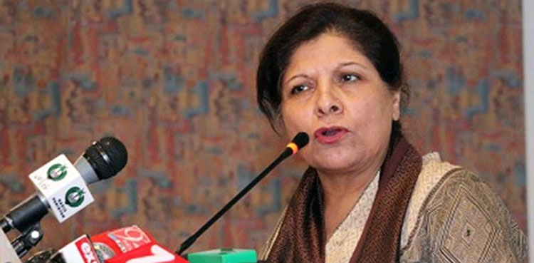 Finance Minister, Shamshad Akhtar, economic revival