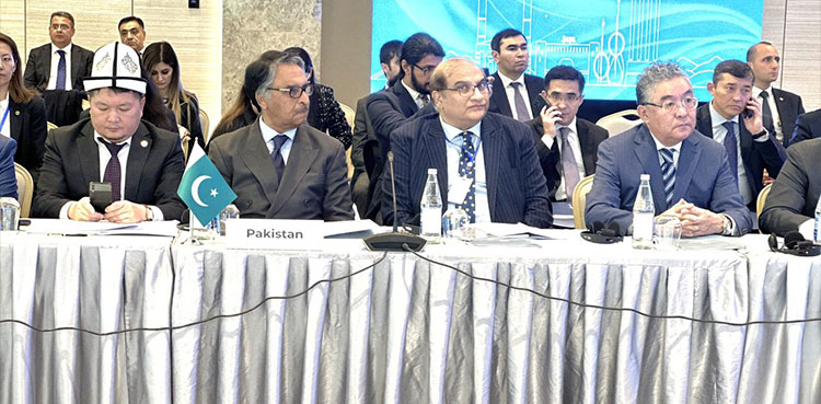 FM Jilani stresses upon ECO intra-regional trade growth