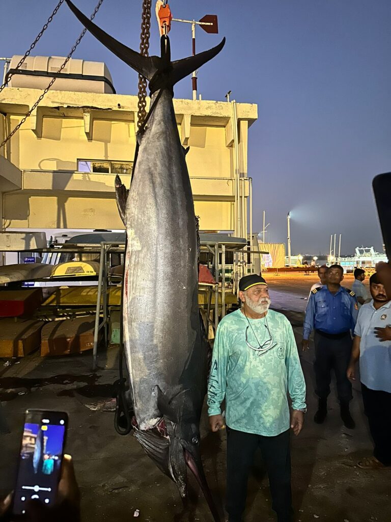 Marlin fish new record, Marlin fish, Marlin fish Karachi