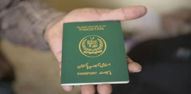 Fake passports, Interior Ministry, joint task force