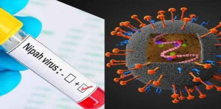 Sindh-Nipah-virus-alert