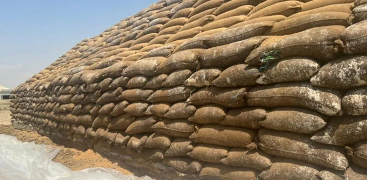 damaged-wheat-worth-billions-up-for-auctions