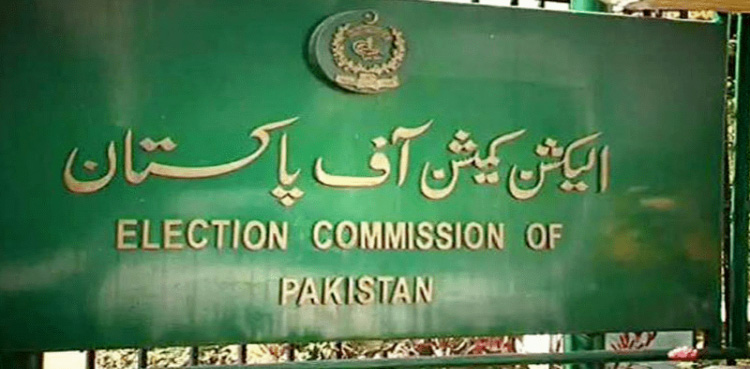 general elections, delay in general elections, ECP